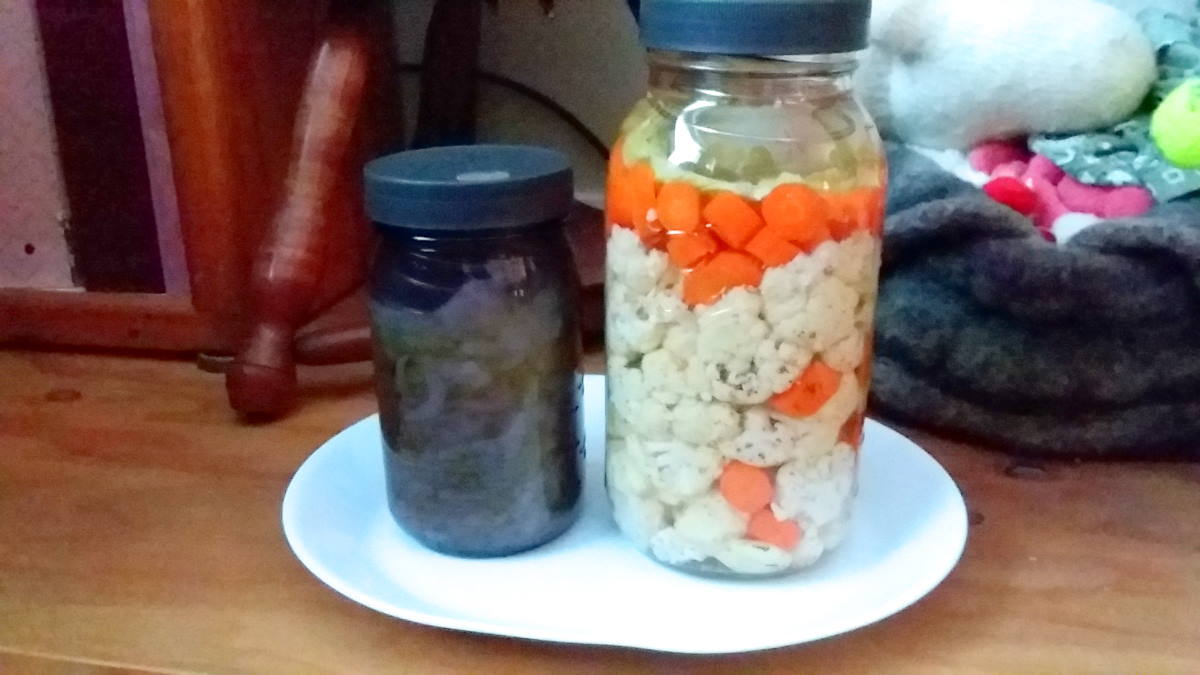 Jar fermenting vegetables