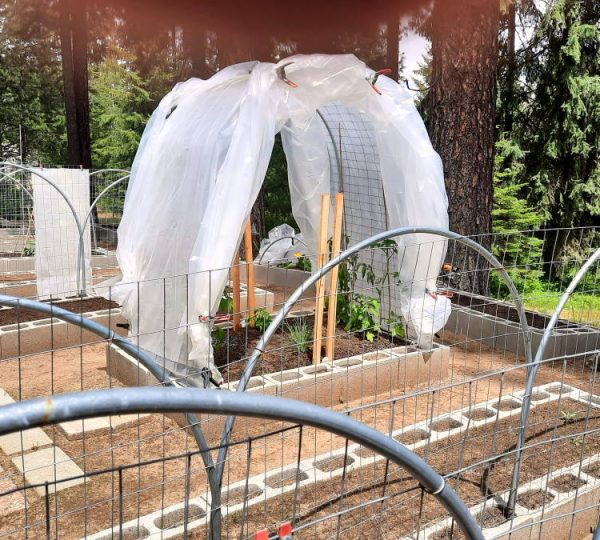 Make-shift greenhouses