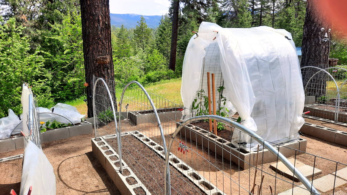 Make-shift greenhouses, another view